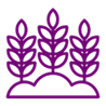 Agriculture durable et responsable