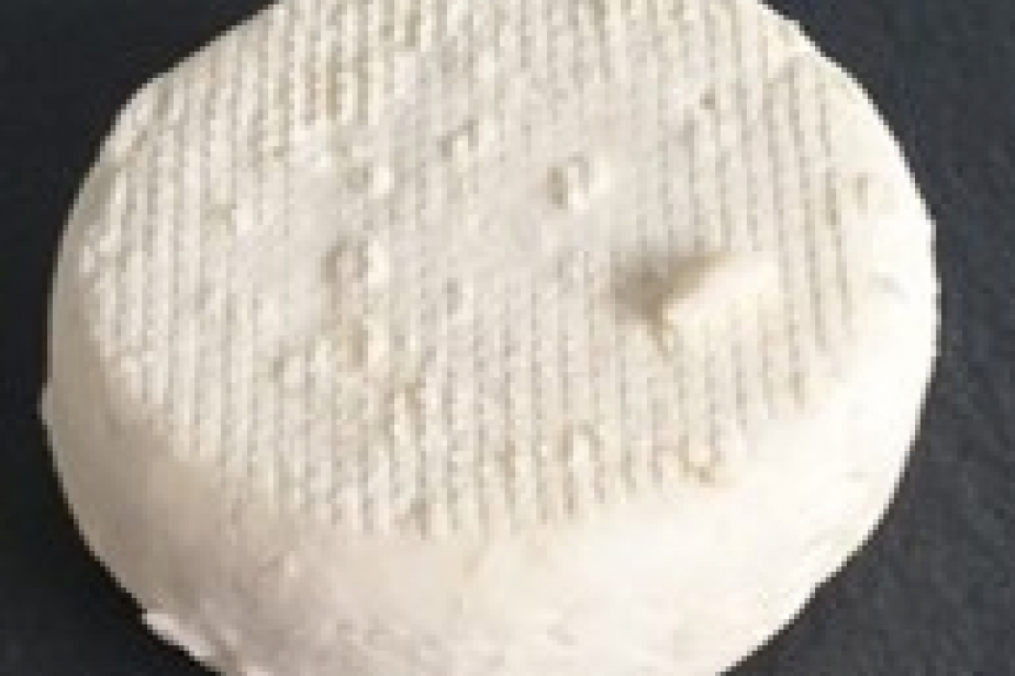 L'aigrette, Comberouger, Gaec de l’Elanion