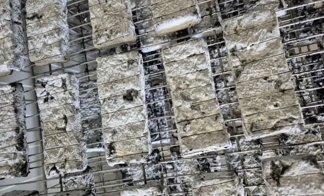 Quel fromage dans le sud de la France ?, Comberouger, Gaec de l’Elanion